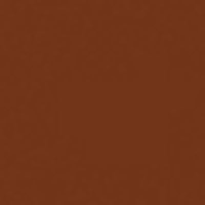 Caran d'Ache Neocolor II - Brown or Green