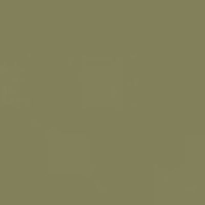 Caran d'Ache Neocolor II - Brown or Green