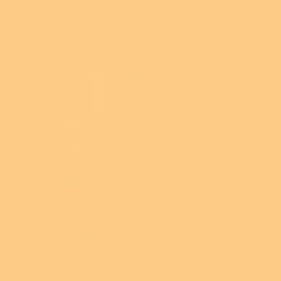 Caran d'Ache Neocolor II - Brown or Green