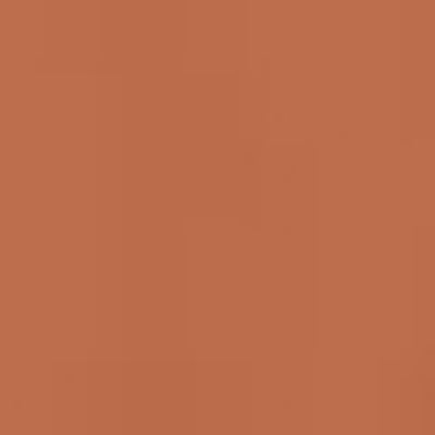 Caran d'Ache Neocolor II - Brown or Green