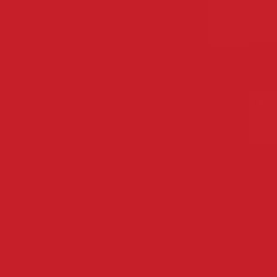 Caran d'Ache Neocolor II - Orange or Red or Purple