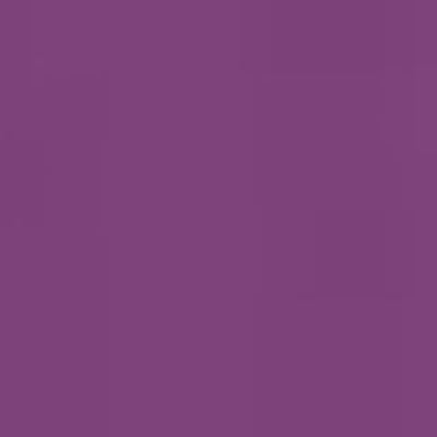 Caran d'Ache Neocolor II - Orange or Red or Purple