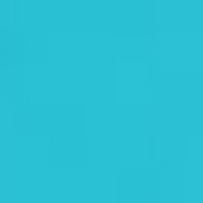 Caran d'Ache Neocolor II - Black or Grey or Blue