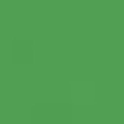 Caran d'Ache Neocolor II - Brown or Green