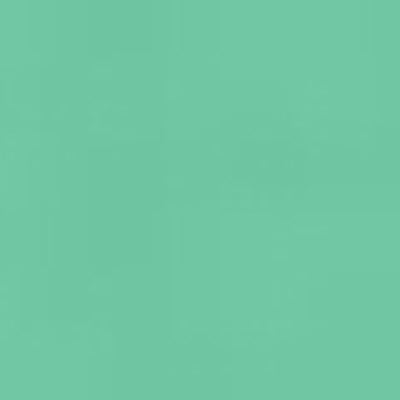 Caran d'Ache Neocolor II - Brown or Green