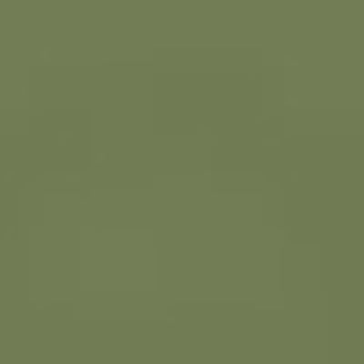Caran d'Ache Neocolor II - Brown or Green