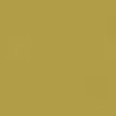 Caran d'Ache Neocolor II - Brown or Green