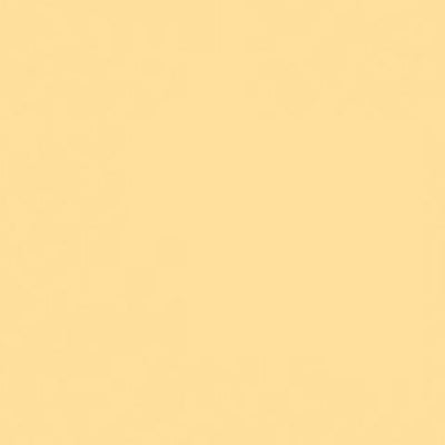 Caran d'Ache Neocolor II - White or Yellow