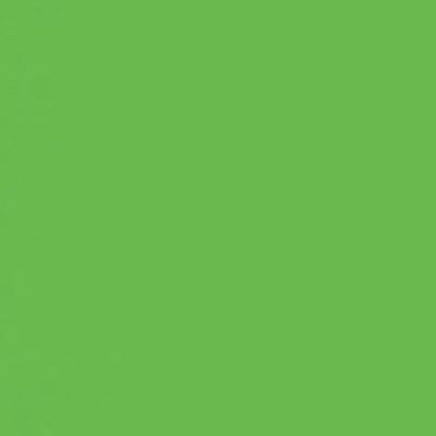 Caran d'Ache Neocolor II - Brown or Green