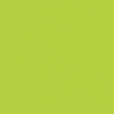 Caran d'Ache Neocolor II - Brown or Green