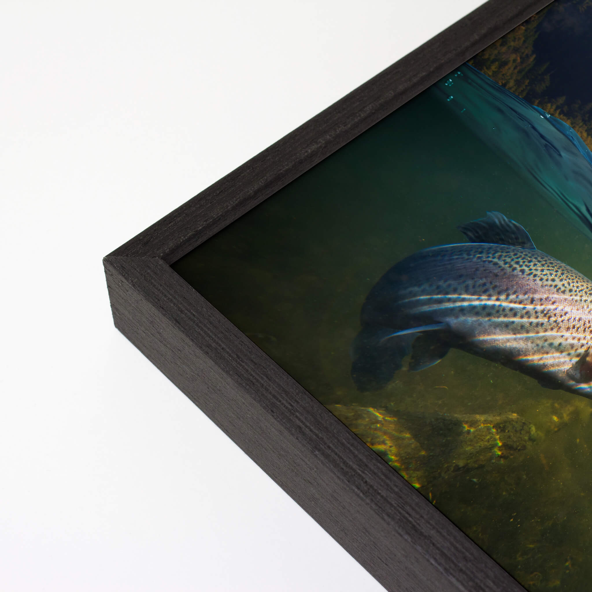 Opus COHO II Pre-Cut Metal Framing System