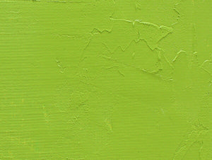 Gamblin Artist's Oil Colors - Brown or Green