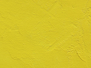 Gamblin Artist's Oil Colors - White or Yellow