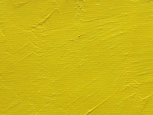 Gamblin Artist's Oil Colors - White or Yellow