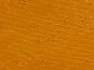 Gamblin Artist's Oil Colors - White or Yellow