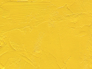 Gamblin Artist's Oil Colors - White or Yellow