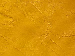 Gamblin Artist's Oil Colors - White or Yellow