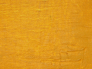 Gamblin Artist's Oil Colors - White or Yellow