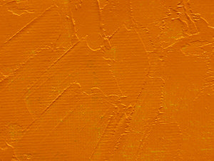 Gamblin Artist's Oil Colors - White or Yellow