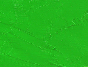 Gamblin Artist's Oil Colors - Brown or Green