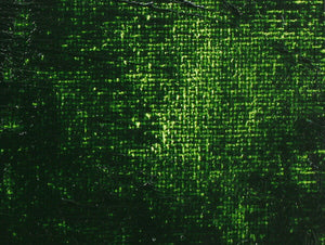 Gamblin Artist's Oil Colors - Brown or Green