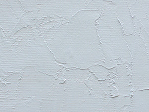 Gamblin Artist's Oil Colors - White or Yellow