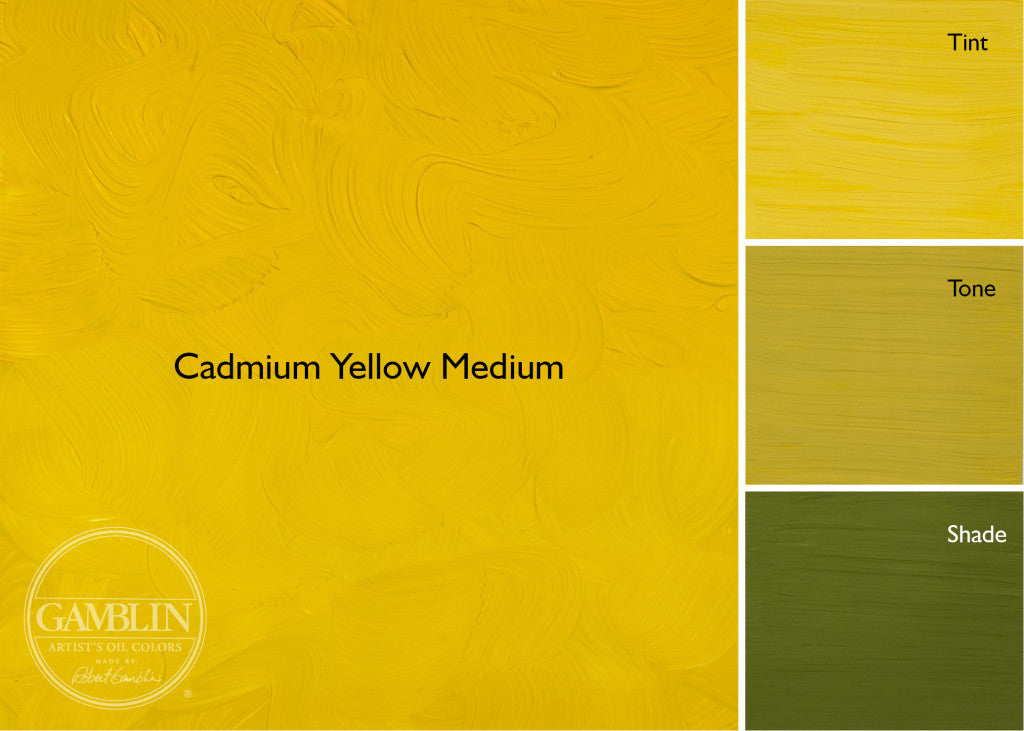 Gamblin 1980 Oil Paints