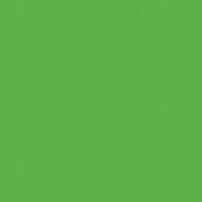 Holbein DUO Aqua Oils - Brown or Green