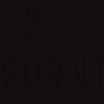 Liquitex Professional Acrylic Gouache