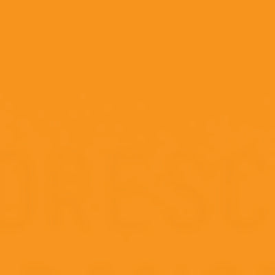 Liquitex Professional Acrylic Gouache