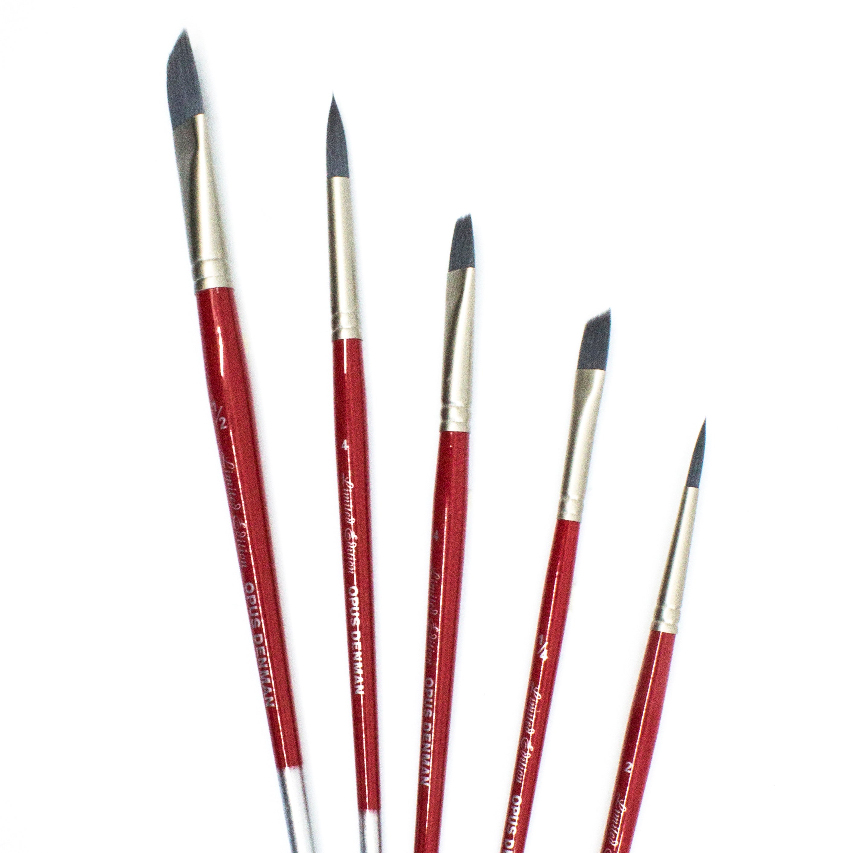 Opus Denman Short Handle Brushes