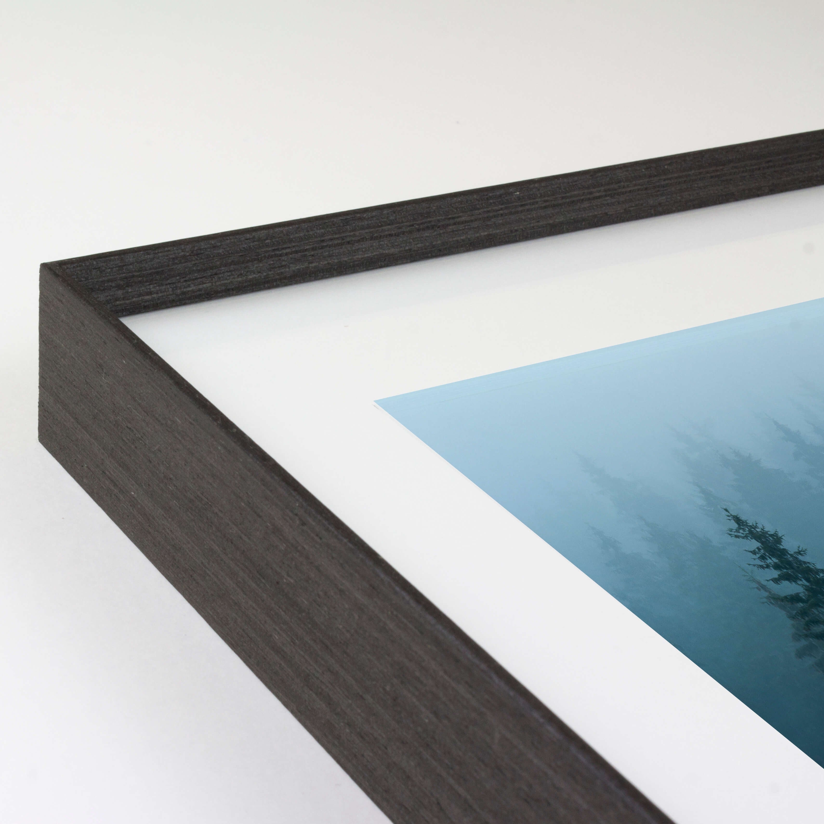 Opus Cypress Metal Frames - Black