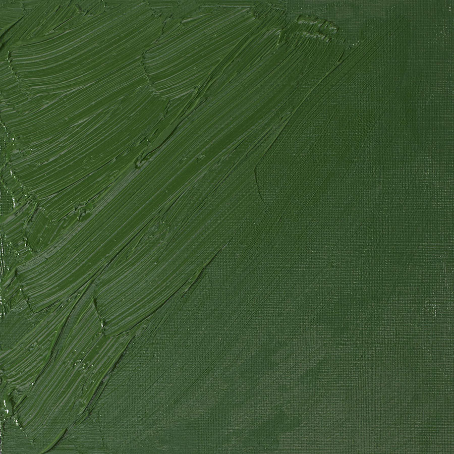 Winsor & Newton Artists' Oil Colours - Brown or Green