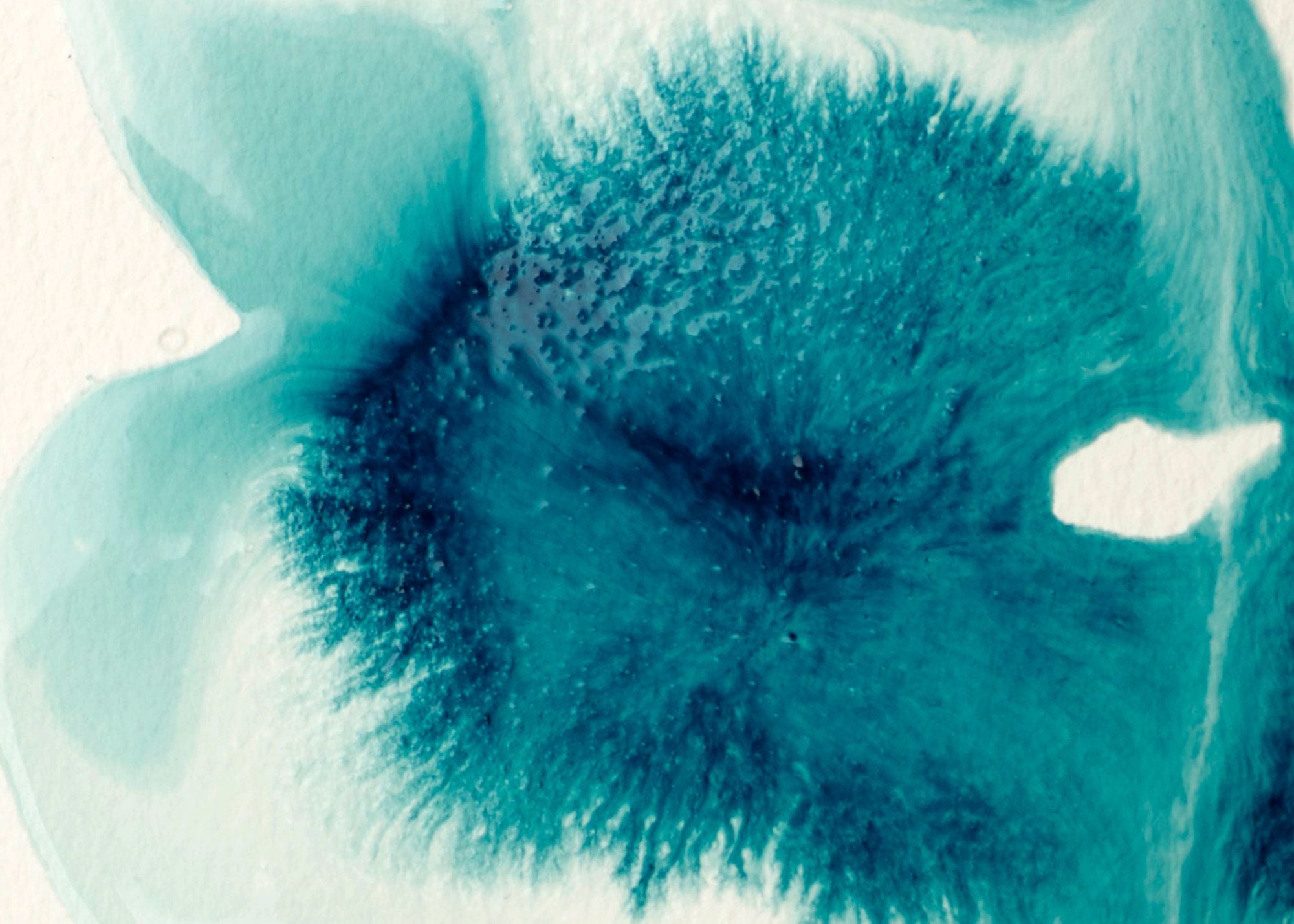 Liquitex Professional Flow Aid Additive - 118ml